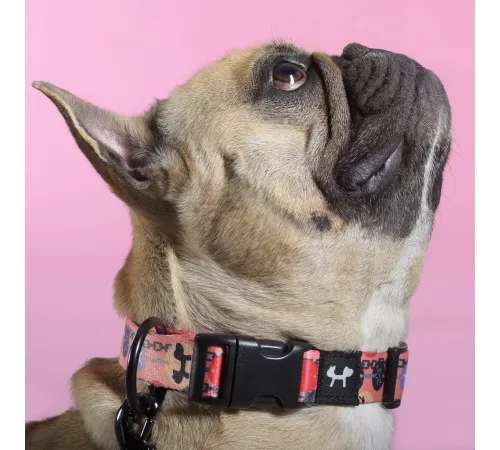 United Pets Ошейник Complete me Forever, оранжевый с рисунком, M