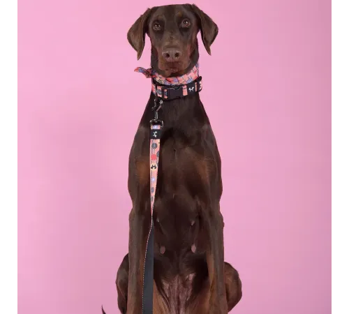 United Pets Ошейник Complete me Forever, оранжевый с рисунком, M