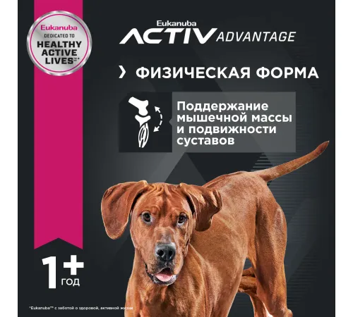 Eukanuba Adult Large Breed (Птица), 3 кг