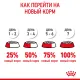 Royal Canin Giant Starter, 4 кг