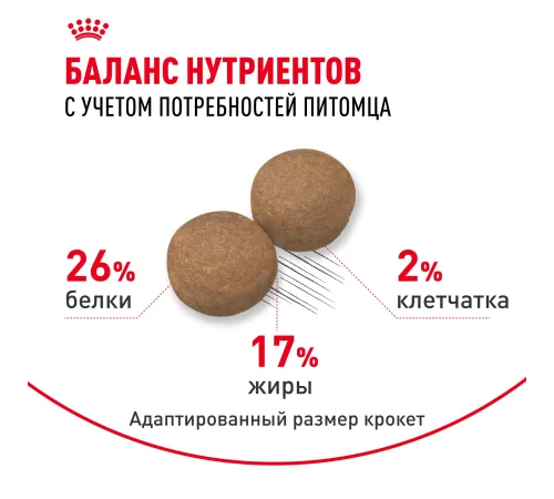 Royal Canin Maxi Adult, 3 кг