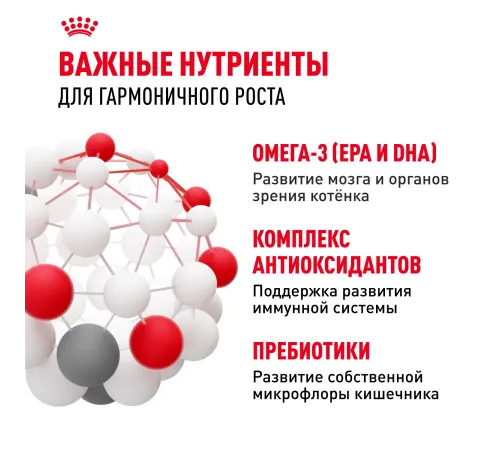 Royal Canin Kitten, 300 г