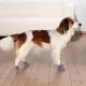 Носки 