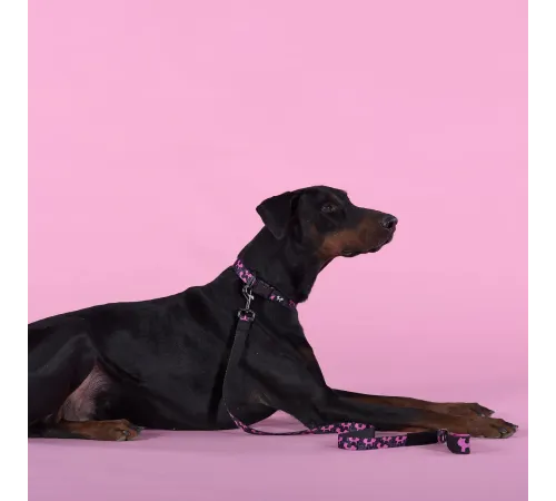 United Pets Ошейник Complete me Identity, черный с розовым, S