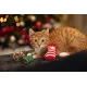 Beeztees Игрушка для кошек Christmas Fun, 3 шт/уп