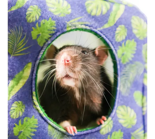 Bambini Pets Домик-гамак подвесной Куб для грызунов и хорьков, 16*16*16 см