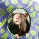 Bambini Pets Домик-гамак подвесной Куб для грызунов и хорьков, 16*16*16 см