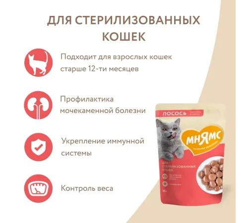 Мнямс для стерилизованных кошек Кусочки в соусе с лососем, 85 г