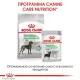 Royal Canin Maxi Digestive Care, 3 кг