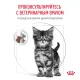 Royal Canin Gastrointestinal Kitten, 350 г