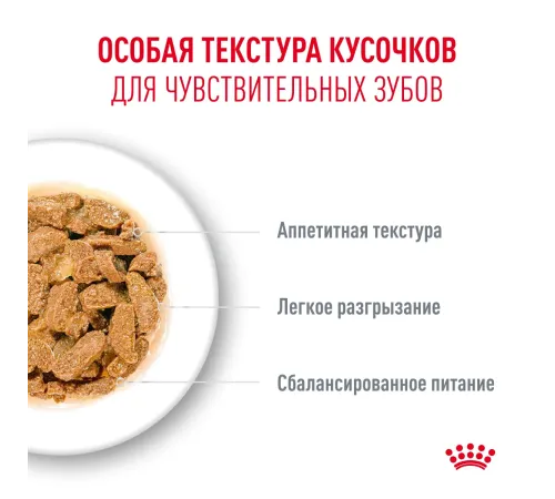 Royal Canin Ageing (соус) 11+, 85 гр  х 12 шт 