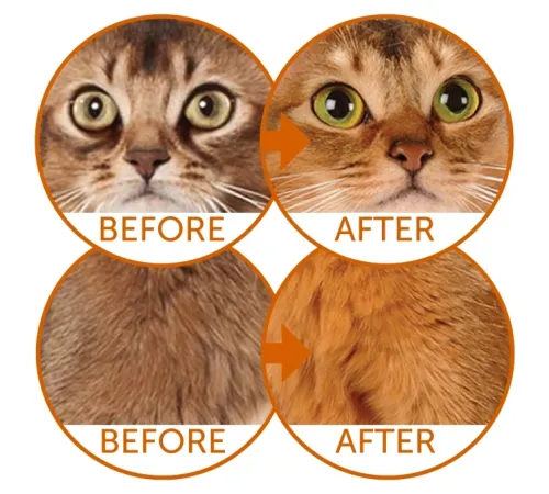 Nature's Protection Red Cats GF (Сельдь), 1,5 кг