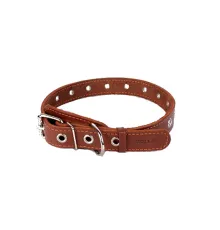 Collar безразмерный LBrown 25 мм, 60 см