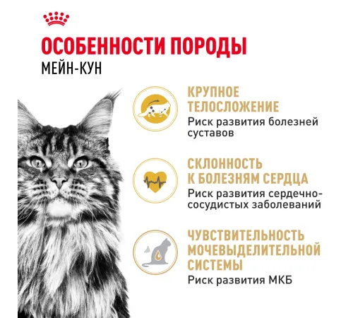 Royal Canin Maine Coon Adult, 400 г