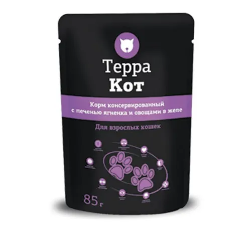 Паучи 