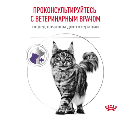 Royal Canin Neutered Satiety Balance Cat, 300 г