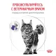 Royal Canin Neutered Satiety Balance Cat, 300 г