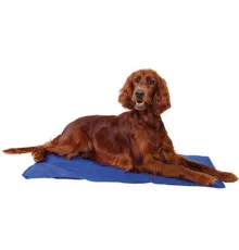 JollyPaw Подстилка охлаждающая (синий), 50 х 40 см