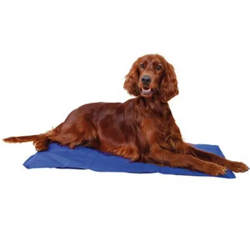 JollyPaw Подстилка охлаждающая (синий), 50 х 40 см