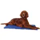 JollyPaw Подстилка охлаждающая (синий), 50 х 40 см