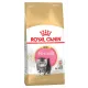 Royal Canin Persian Kitten 2 кг