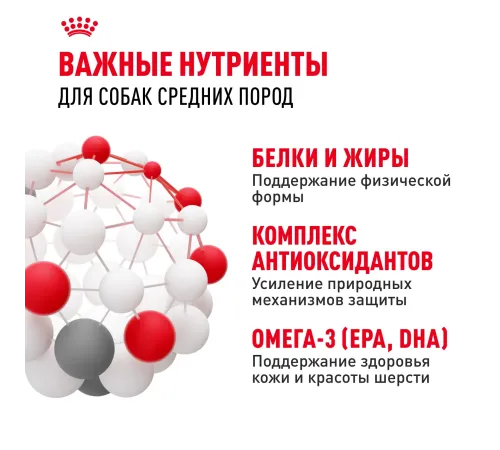 Royal Canin Medium Adult, 3 кг
