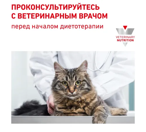 Royal Canin Diabetic Cat, 350 г