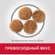 Hill's Science Plan Perfect Weight для собак средних пород (курица), 2 кг