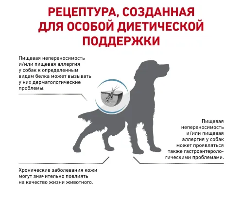 Royal Canin Skintopic Dog, 2 кг + EDUC в подарок