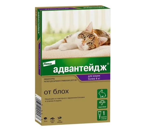 Elanco Адвантейдж для кошек более 4 кг, 1 пипетка