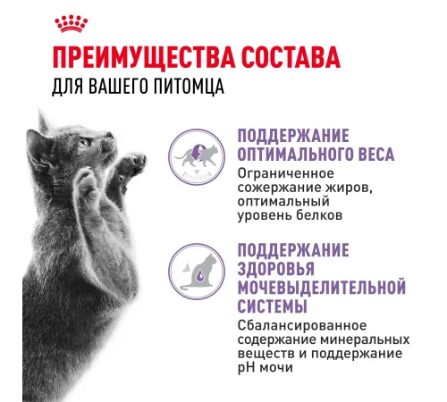 Royal Canin Sterilised (желе) 85 гр
