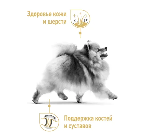 Royal Canin Pomeranian Adult, 500 г
