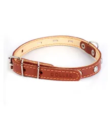 Collar двойной с украшением Brown 14 мм, 27-35 см