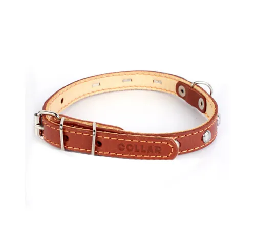 Collar двойной с украшением Brown 14 мм, 27-35 см