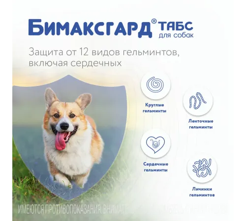 Бимаксгард ТАБС для щенков и маленьких собак, 1 таб