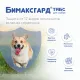 Бимаксгард ТАБС для щенков и маленьких собак, 1 таб