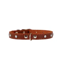 Collar одинарный с украшением Brown 12 мм, 24-32 см