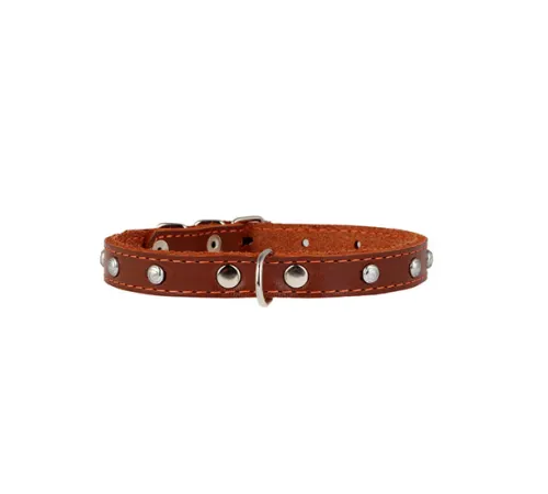 Collar одинарный с украшением Brown 12 мм, 24-32 см