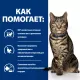 Hill's Prescription Diet Metabolic Влажный корм для кошек (Курица), 85 г