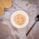 Monge Cat Monoprotein Мясные хлопья из курицы с горошком, 80 г