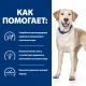 Hill's Prescription Diet d/d Food Sensitivities для собак (утка, рис), 4 кг