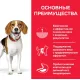 Hill's Science Plan Perfect Weight для собак средних пород (курица), 2 кг