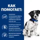 Hill's Prescription Diet i/d Stress Mini (курица), 1 кг