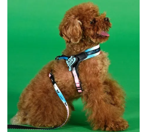 United Pets Шлейка Complete me, розово-голубой тай-дай, 1,5 x 34-42 см