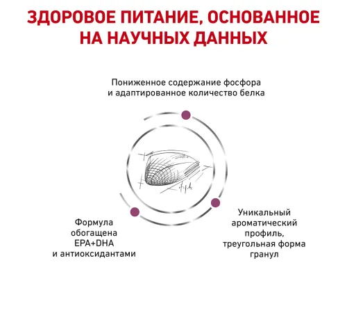 Royal Canin Renal Special Cat, 400 г