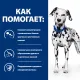 Hill's Prescription Diet u/d Urinary Care для собак, 4 кг