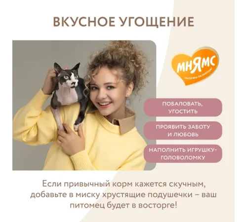 Мнямс Хрустящие подушечки Здоровые зубы, 60 г