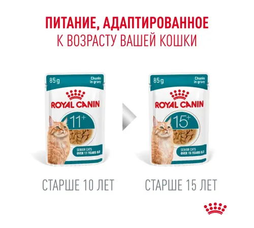 Royal Canin Ageing (соус) 11+, 85 гр  х 12 шт 
