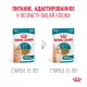 Royal Canin Ageing (соус) 11+, 85 гр  х 12 шт 