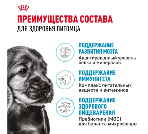 Royal Canin Mini Puppy, 800 г